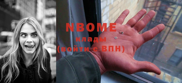 индика Баксан
