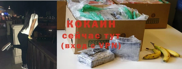 индика Баксан