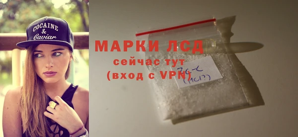 индика Баксан
