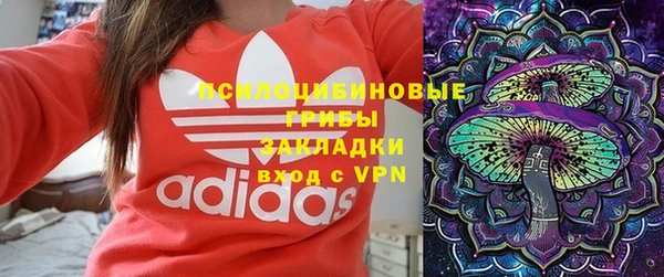 СК Балахна