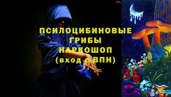 индика Баксан