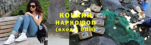 индика Баксан