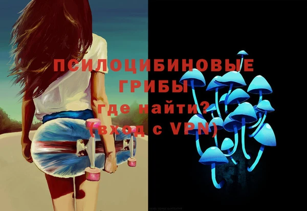 индика Баксан
