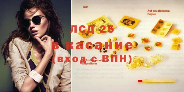 индика Баксан