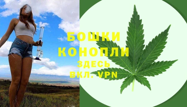 СК Балахна